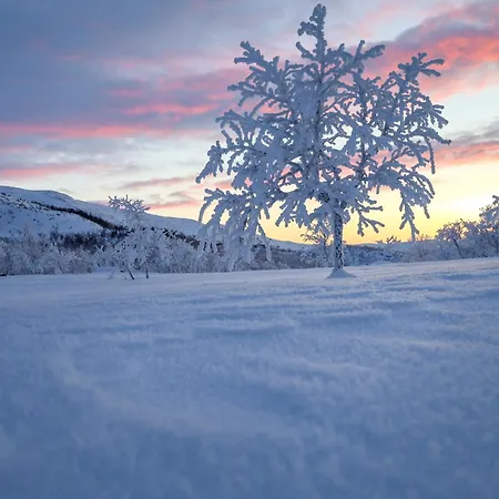 Апартаменты Aurora