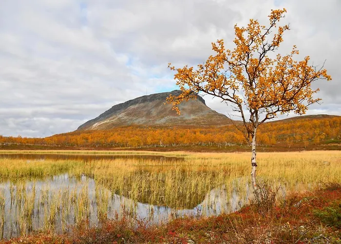 아파트 Aurora 킬피스야르비